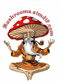 Mushrooms.simdif.com