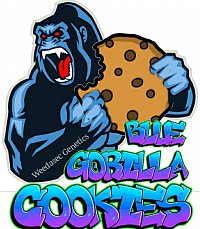 Blue Gorilla Cookies